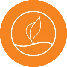 icon-4-orange
